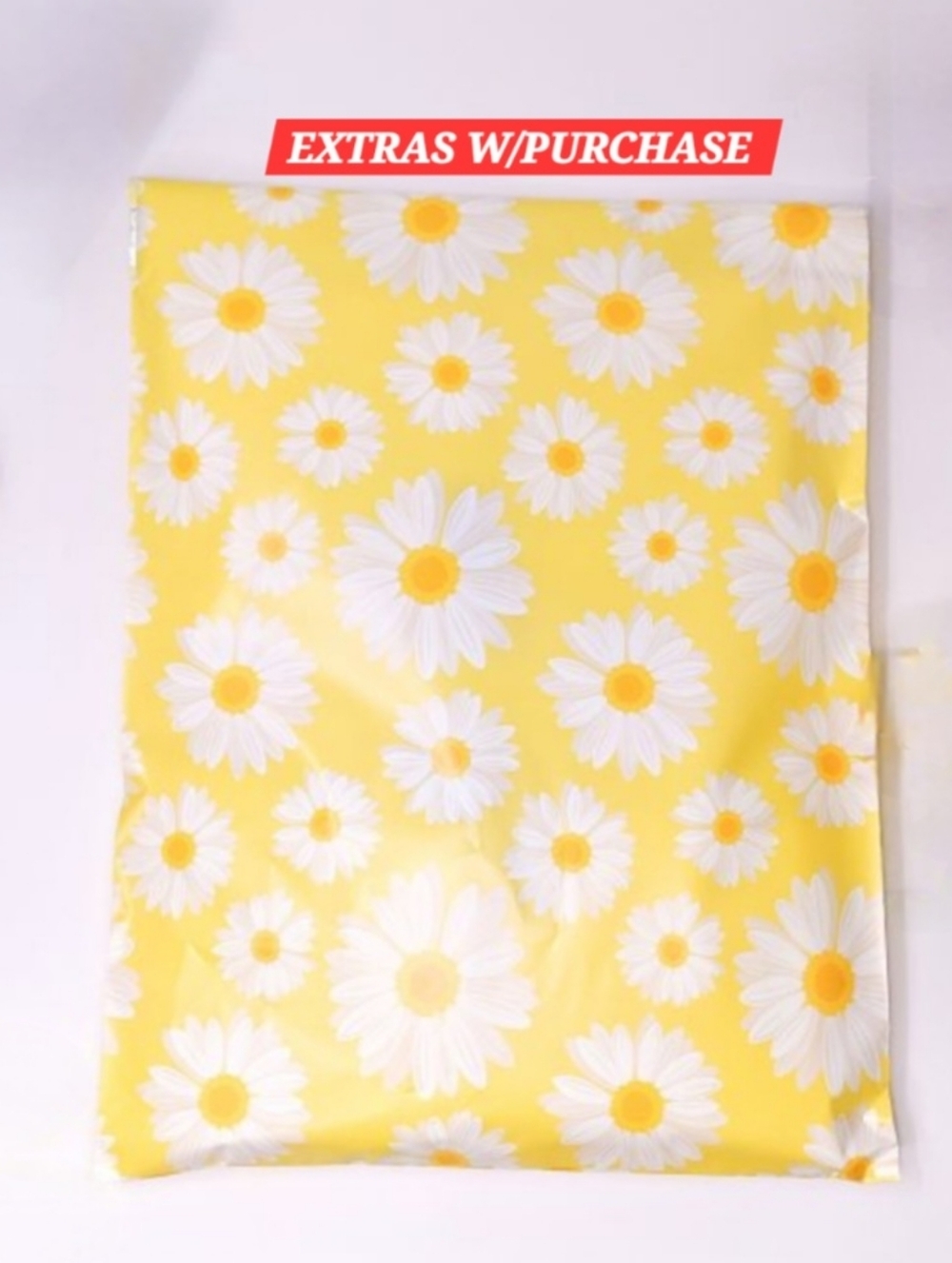 20ct. 10x13 Polymailers Bonus - Random Thank You Cards And Stickers
